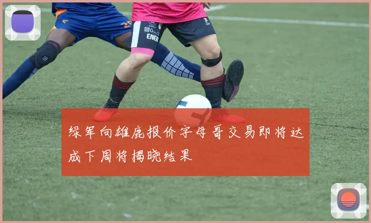 绿军向雄鹿报价字母哥交易即将达成下周将揭晓结果